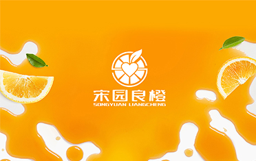 某良橙——绍兴LOGO设计